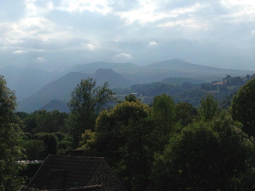 La Vue Sur Le Paradis Chambon-sur-Lac Quarto foto